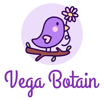 Vega Botain